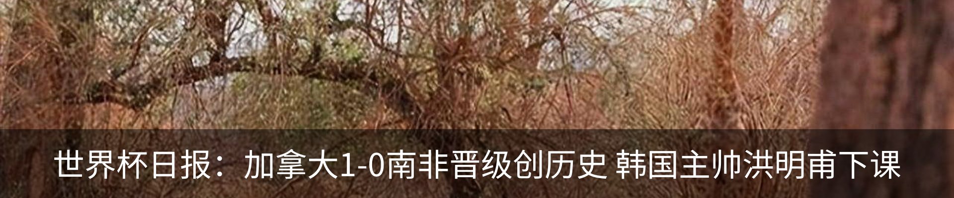 内页banner