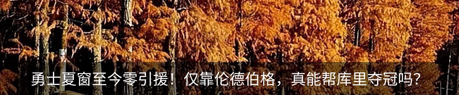 内页banner