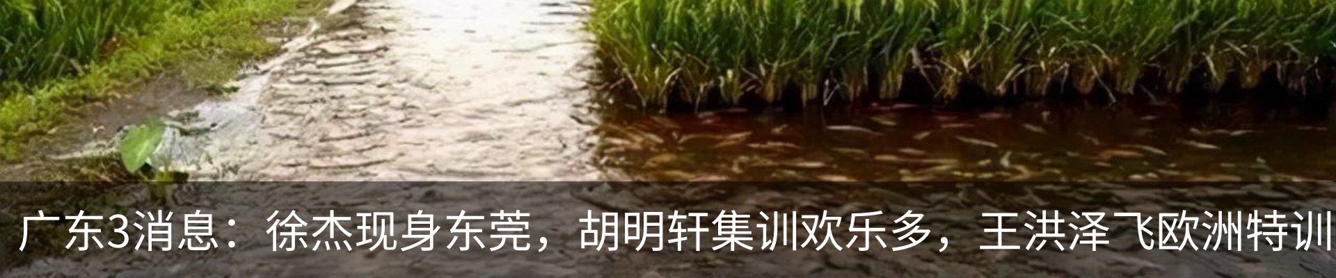 内页banner