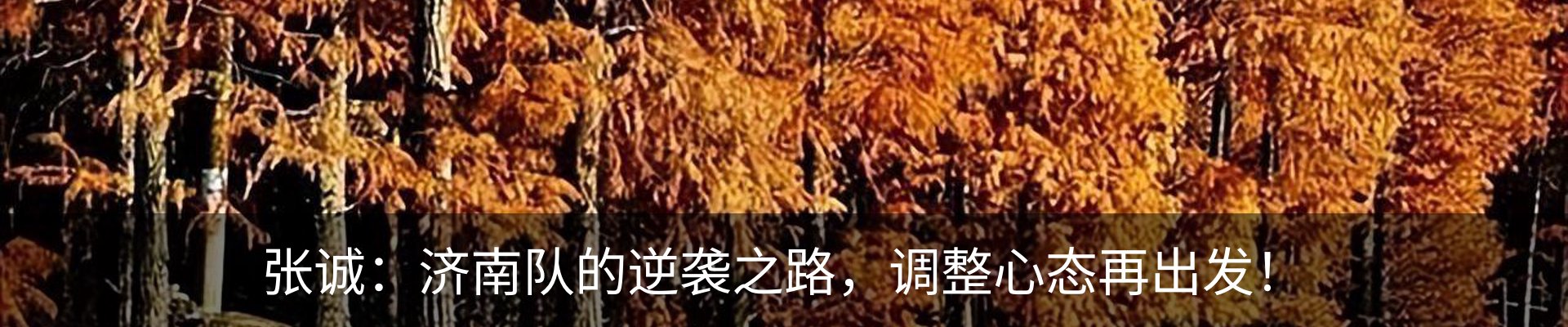 内页banner