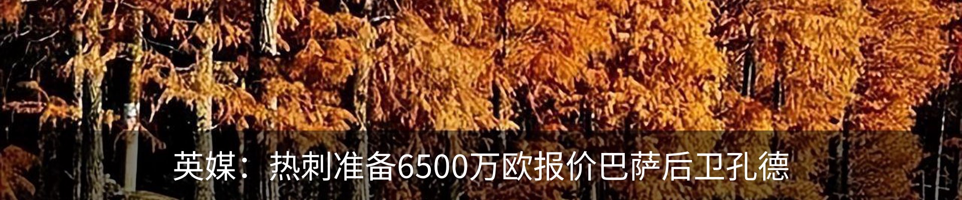 内页banner